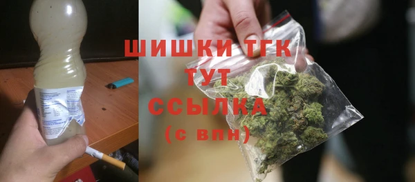 тгк Снежногорск