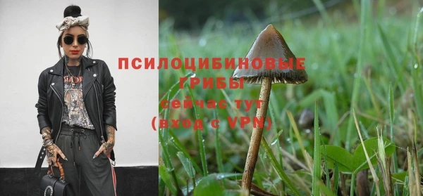каннабис Зеленокумск