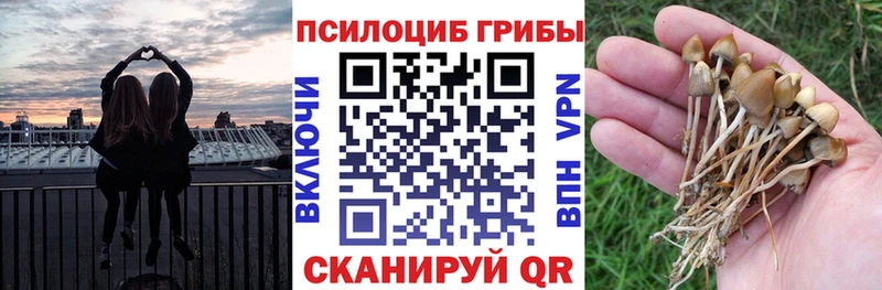 Псилоцибиновые грибы прущие грибы  Карабаново 