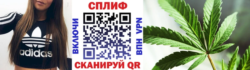 Марихуана марихуана Карабаново